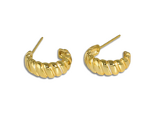Load image into Gallery viewer, The Seashell Earrings