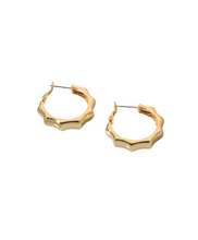 Load image into Gallery viewer, The Octavia Hoops