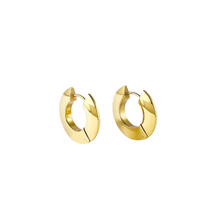 Load image into Gallery viewer, The Brooke Sleek Hoops
