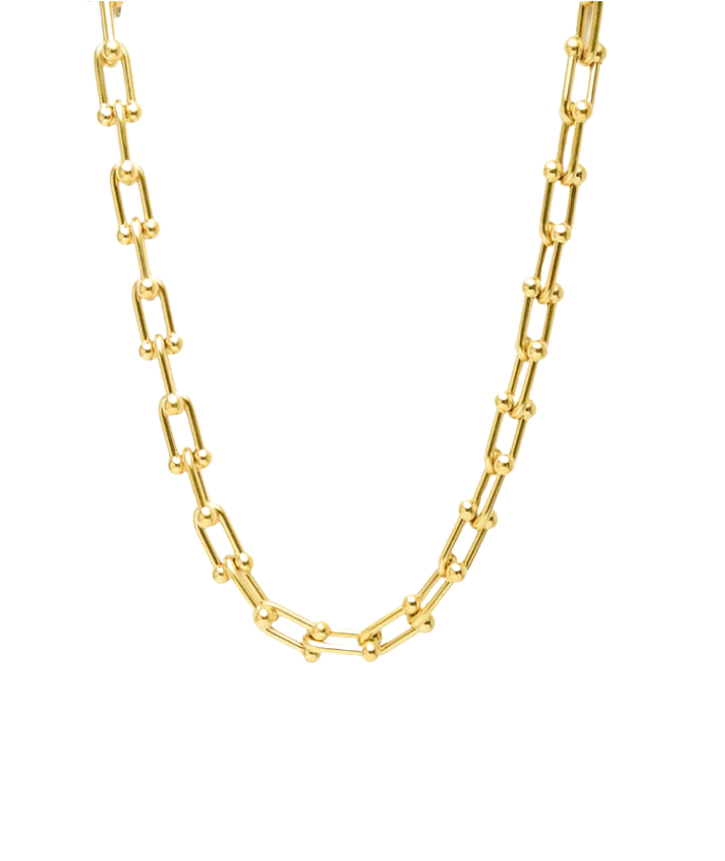 The Interlinked Chain Necklace